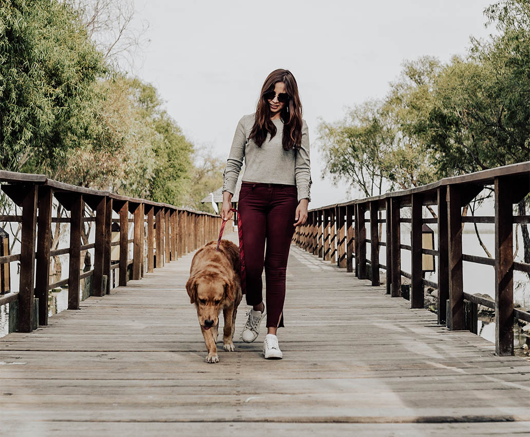 Person walking along wood bridge with dog.